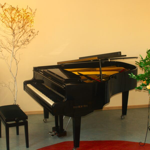 Klaverieriala õpilaste KLASSIKONTSERT